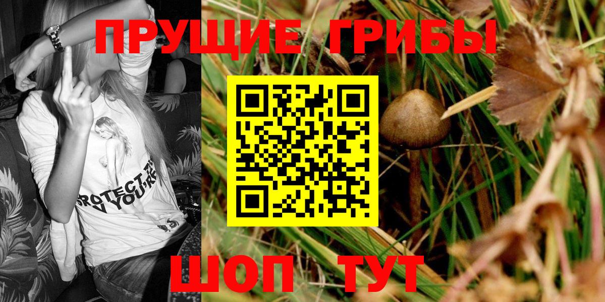 Семилуки  Галлюциногенные грибы Psilocybe  Вход с VPN 